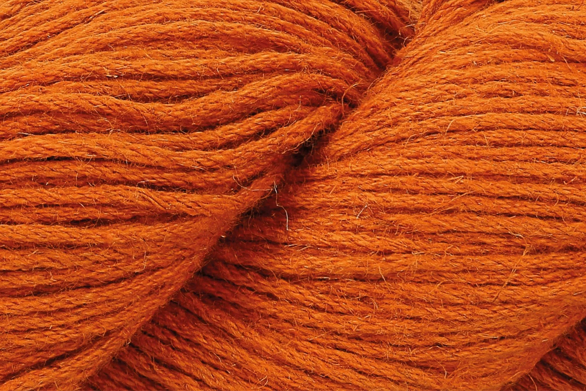Pumpkin-651