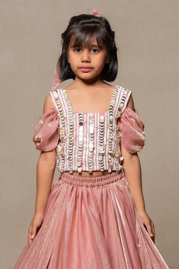 Sequin hand work top with pleated flowy Lahenga