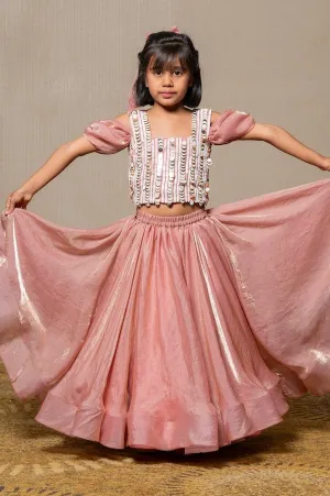 Sequin hand work top with pleated flowy Lahenga
