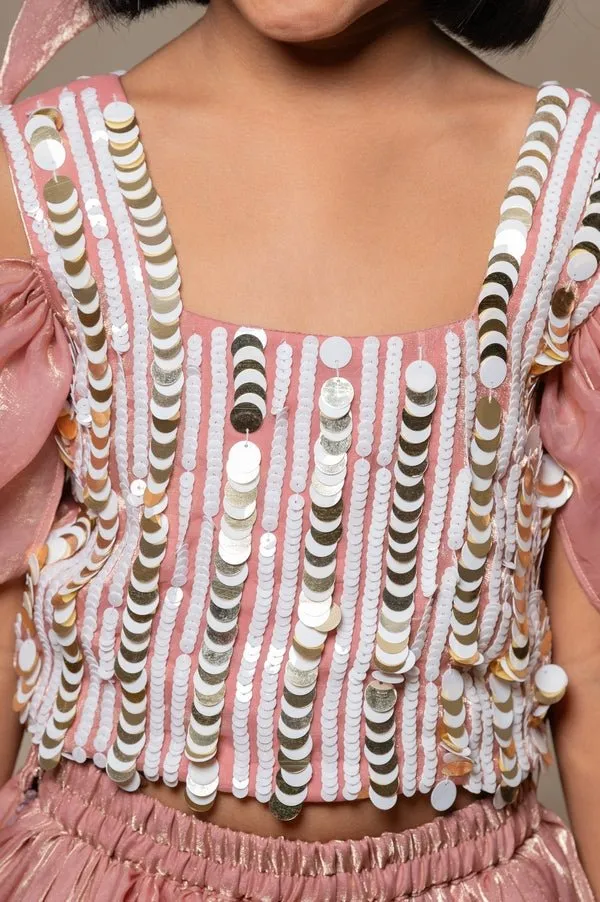 Sequin hand work top with pleated flowy Lahenga